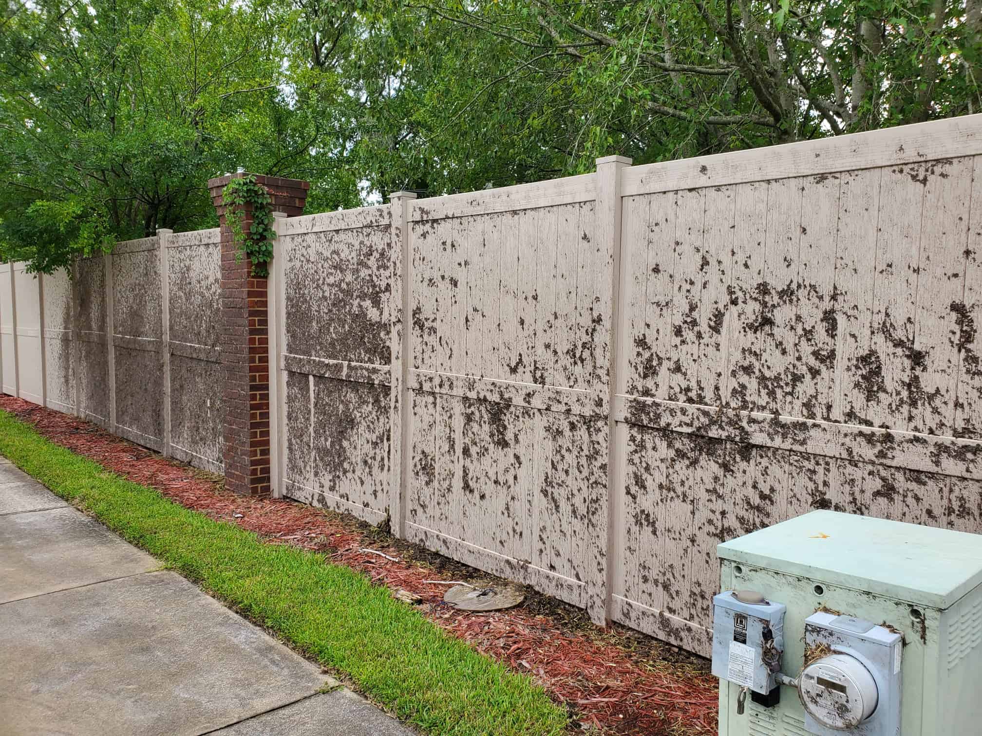 project | Project Gallery