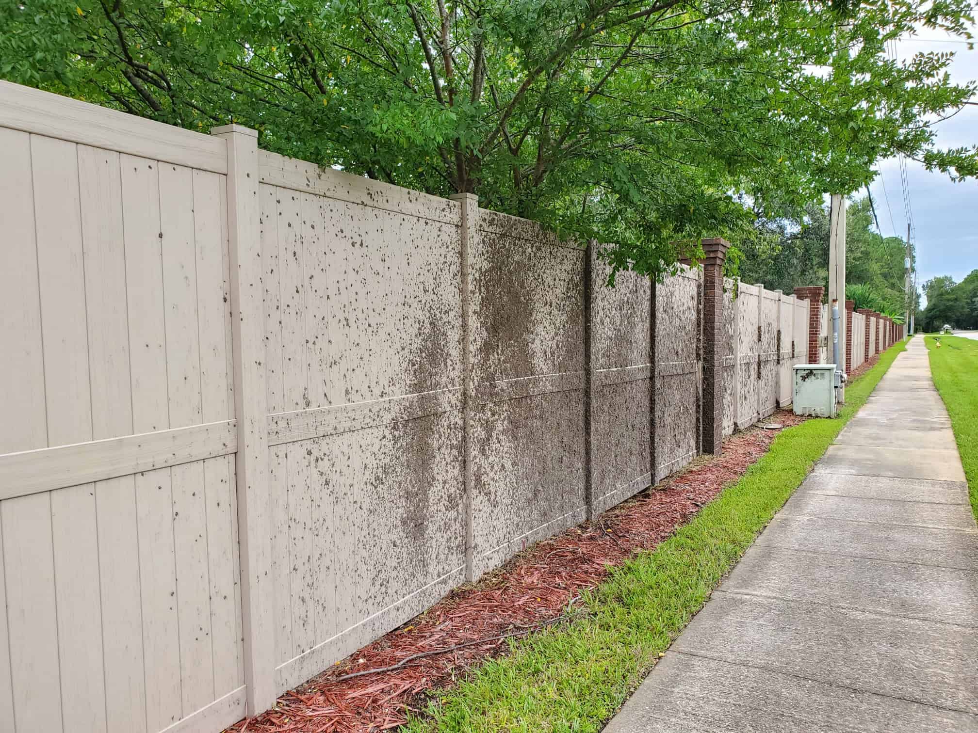 | Understanding Pressure Washing Safety: A Guide for Homeowners and Businesses