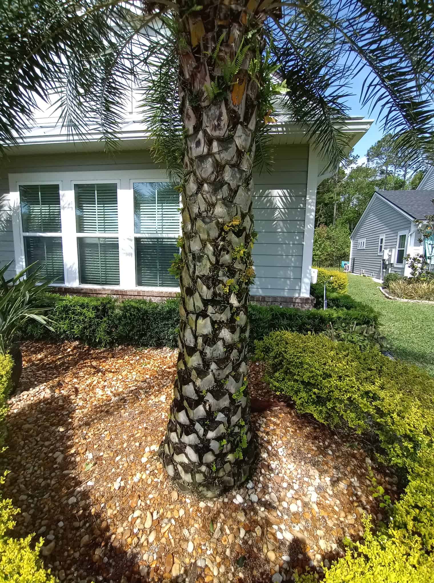 project | Project Gallery