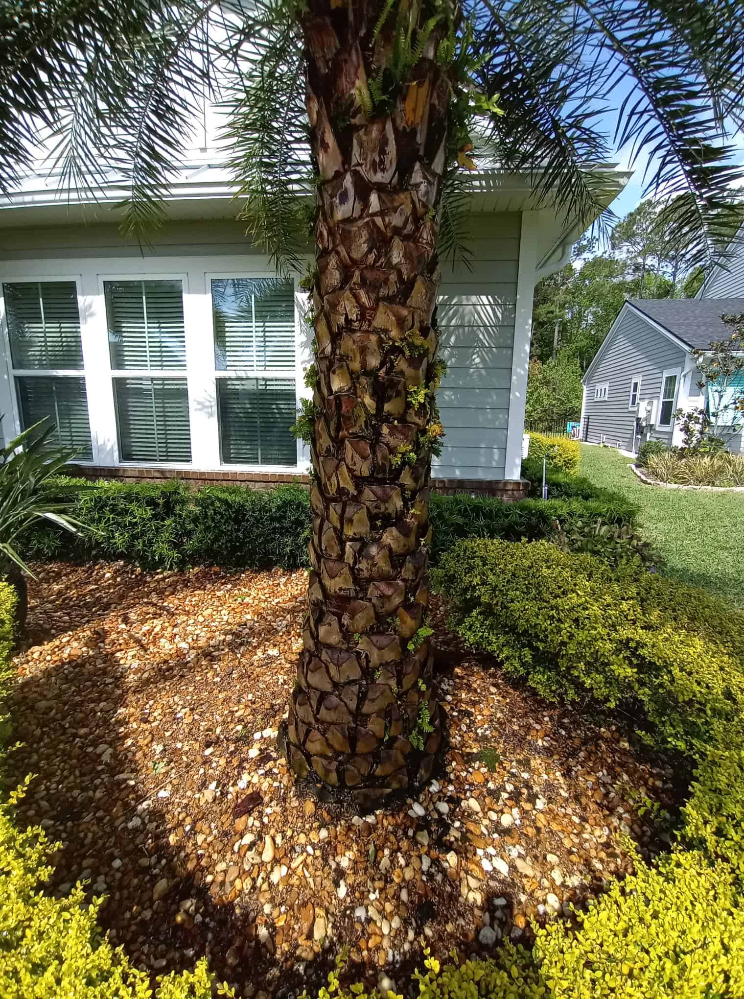 project | Project Gallery